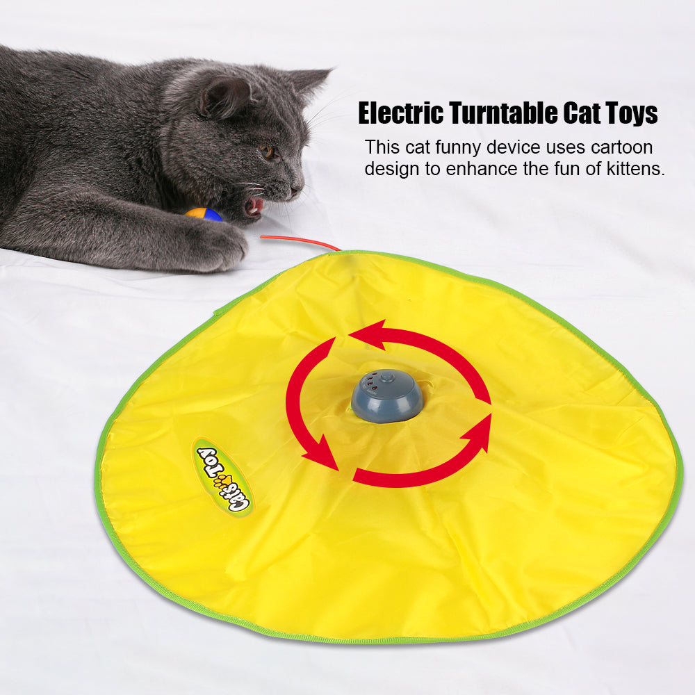 Automatic 4 Speed Interactive Pet Toy