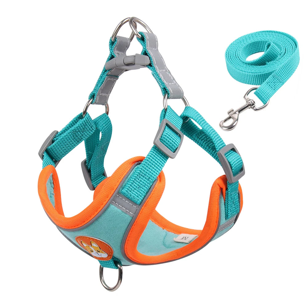 Pet Cat Harness And Leash Set