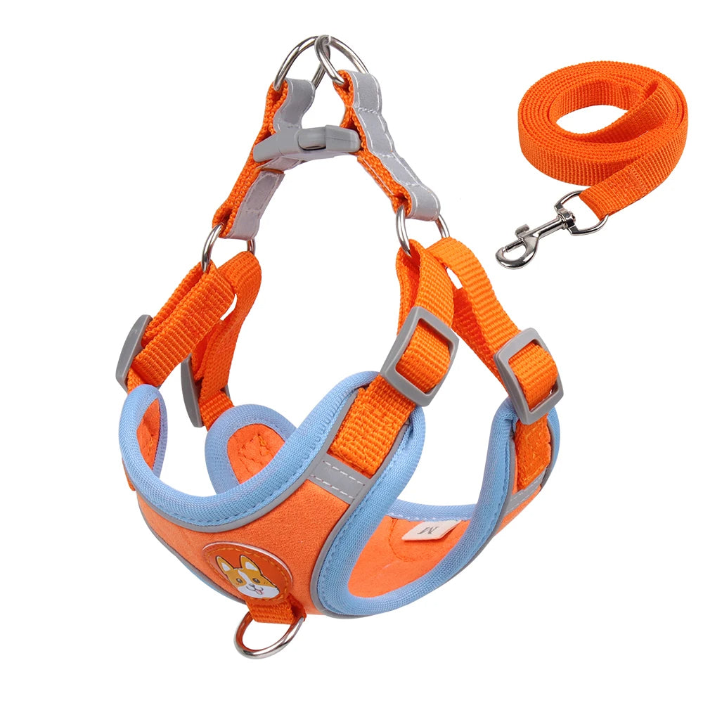 Pet Cat Harness And Leash Set